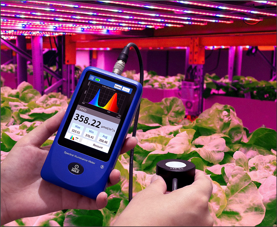 86335 Testing Plant Growth Lights